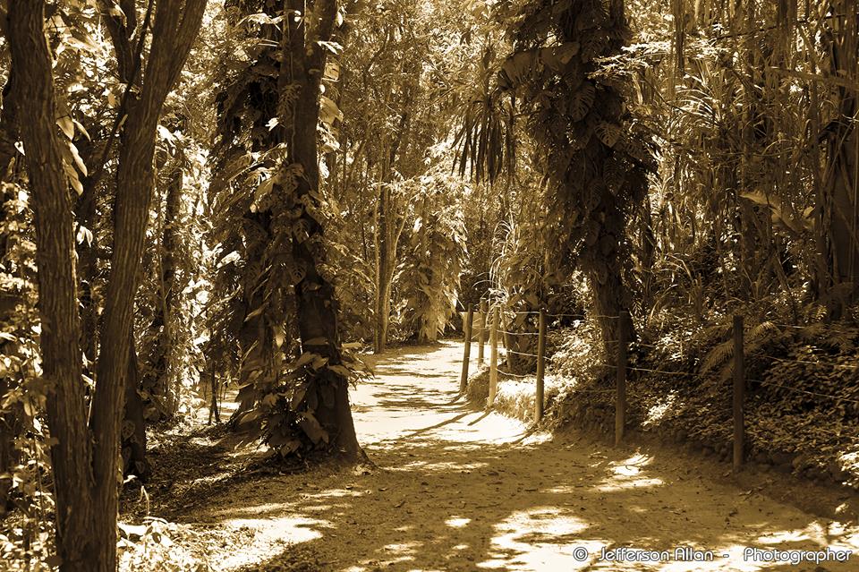 Você pode, creia nisso