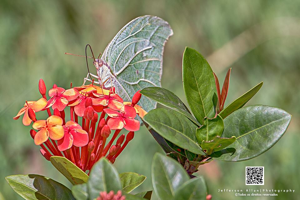 O Início da Primavera